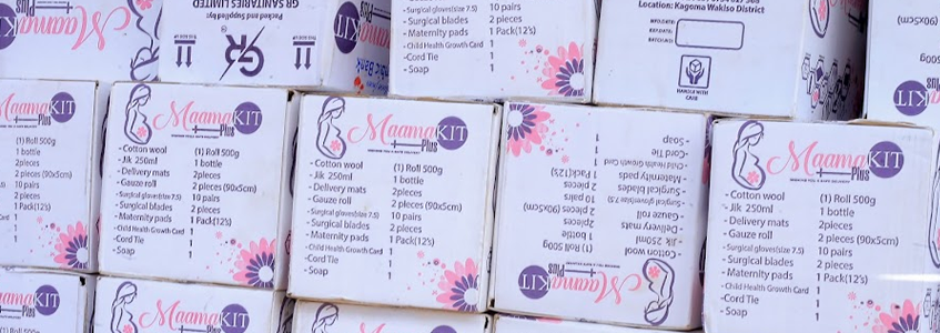 Safeguarding Mothers, 